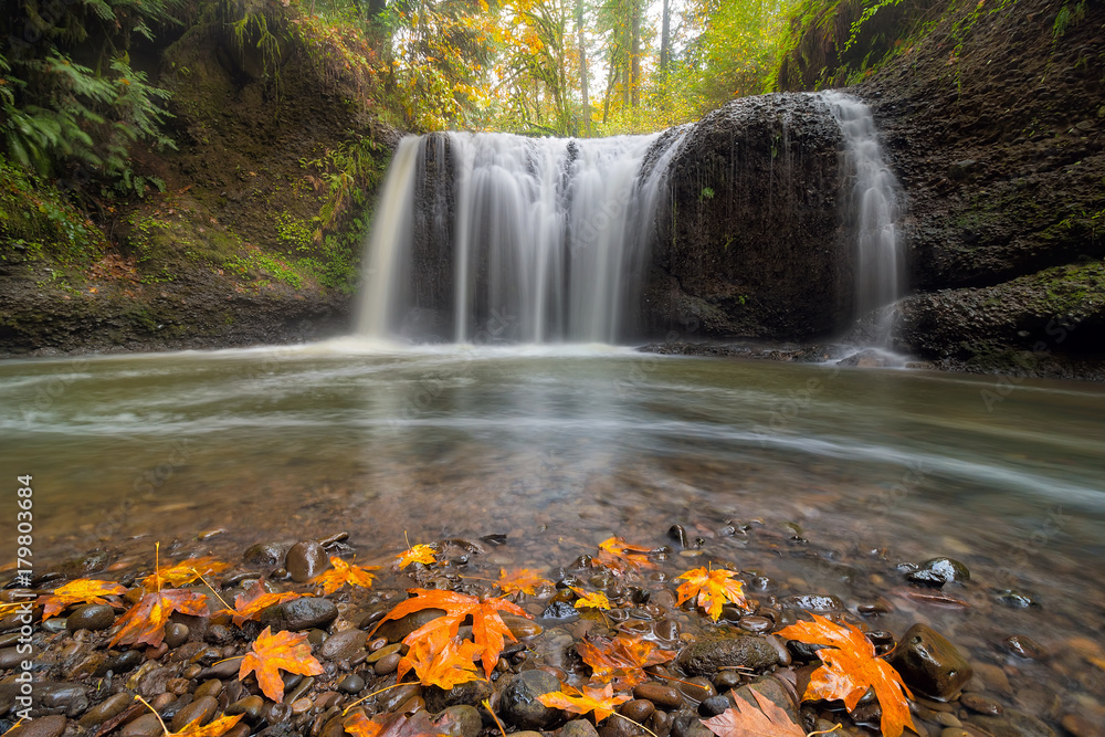 Fototapeta premium Hidden Falls in Clackamas Oregon USA