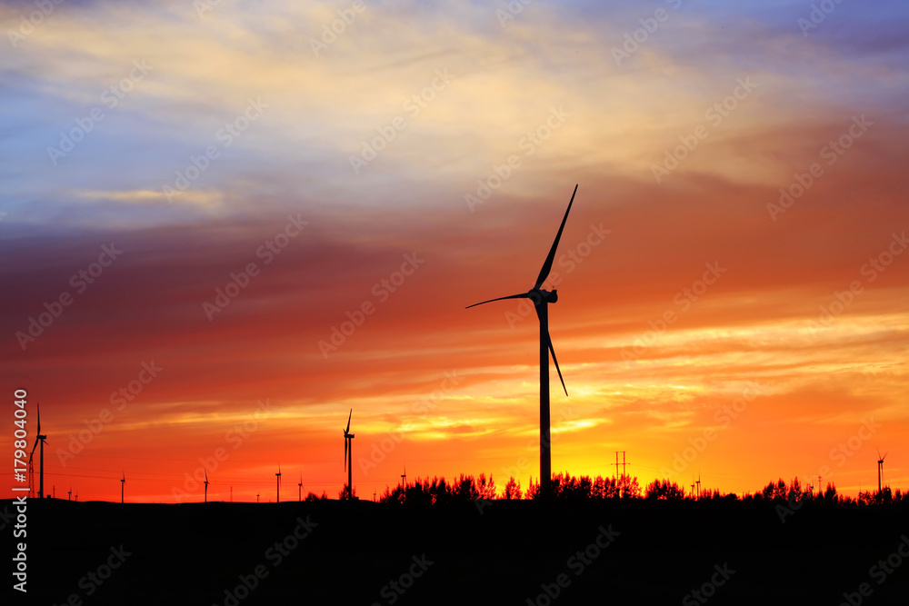 Obraz premium Wind turbines in the evening