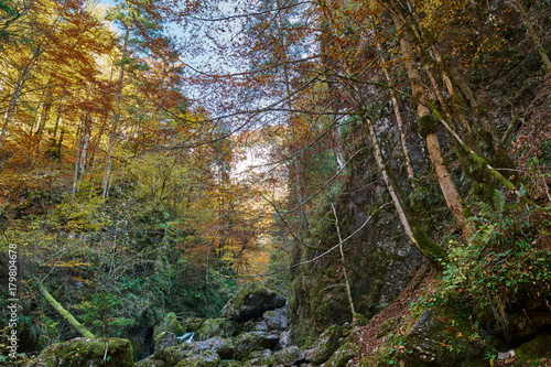 Autumna landscape with canyon and river