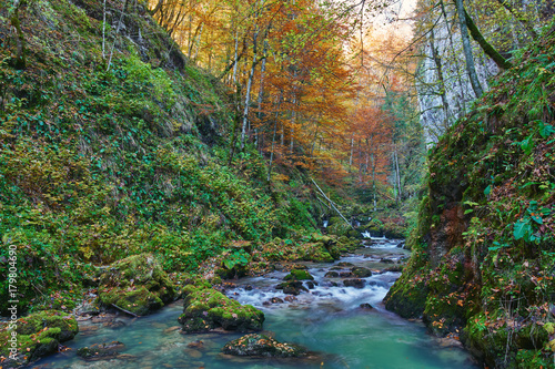 Autumna landscape with canyon and river