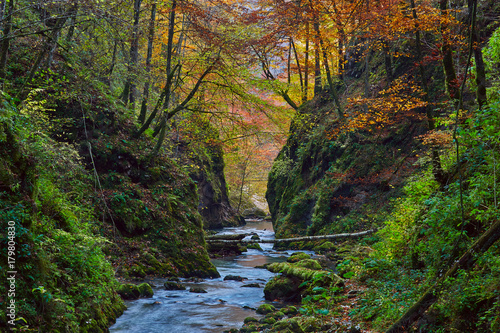 Autumna landscape with canyon and river