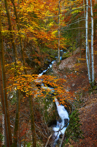 Autumna landscape with canyon and river photo