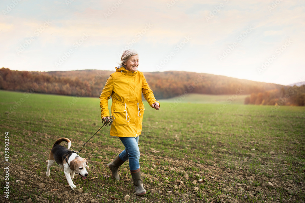 Senior woman with dog on a walk in an autumn nature.