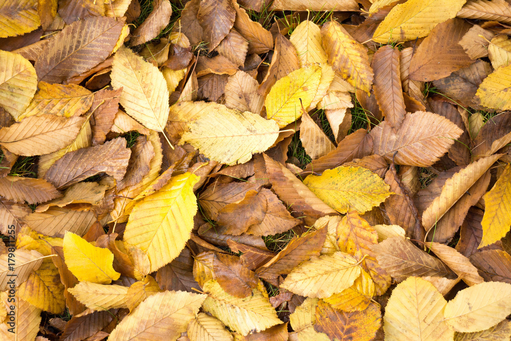Autunno Inoltrato Autunno Inoltrato