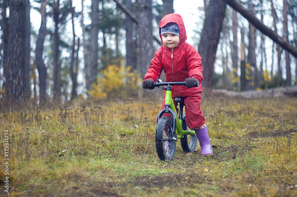 cute little girl riding runbike in the forest cute little girl riding runbike in the forest