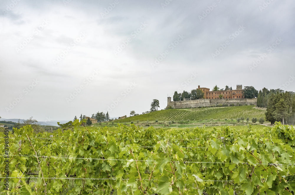 Hills with vineyards and castle Brolio on a rainy day in autumn in Tuscany