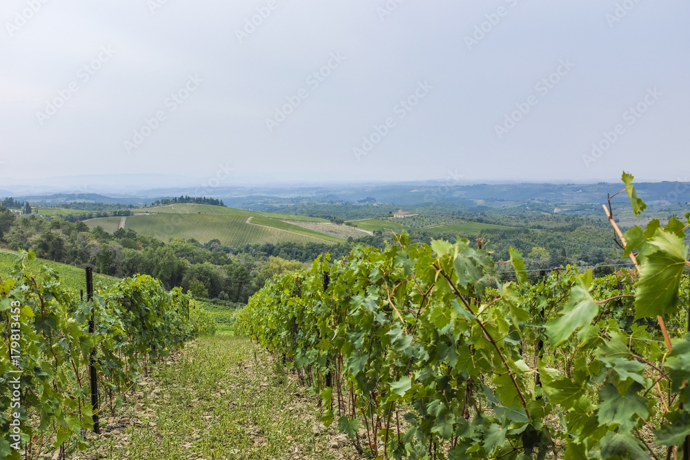 View over the hills with vineyards in beatiful Tuscany in Italy