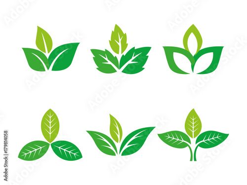 three leafs logo set