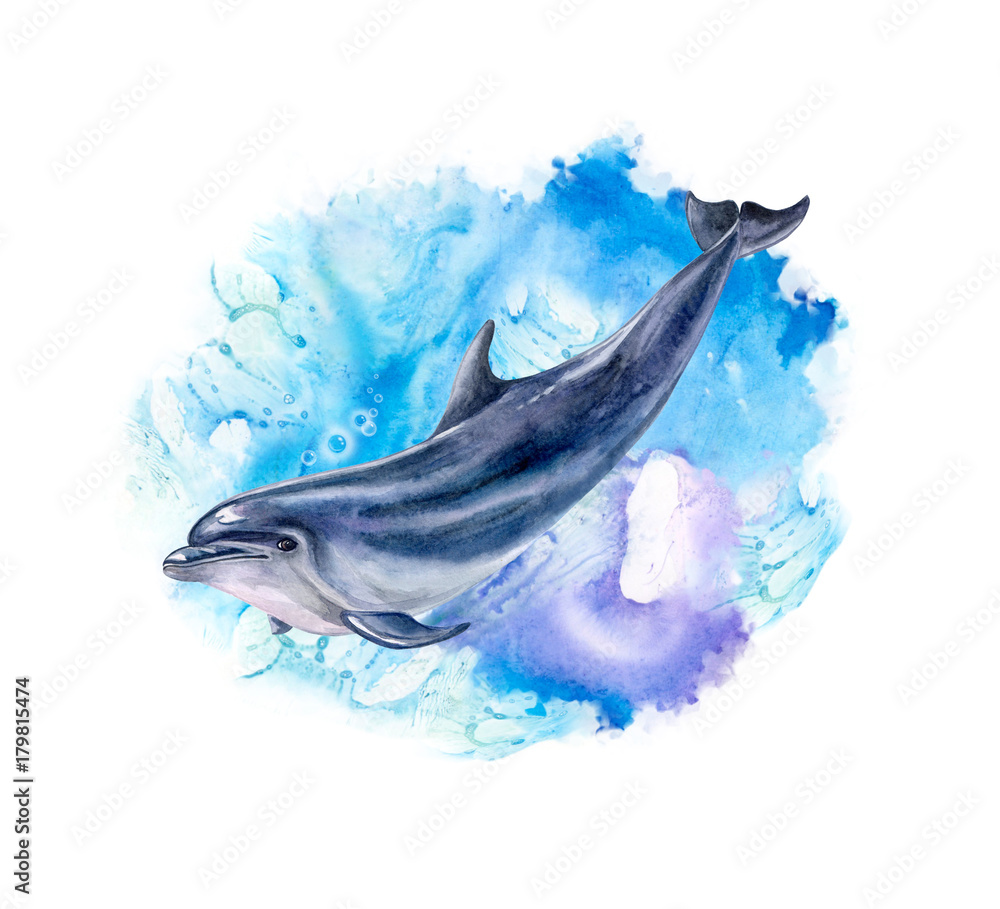 how to draw a dolphin realistic