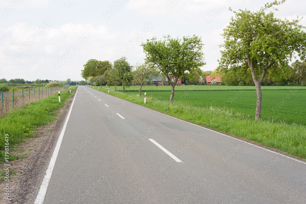 Fototapeta premium Landstraße im ländlichen Raum