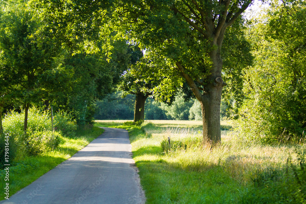 Fototapeta premium Asphaltierter Weg in Landschaft