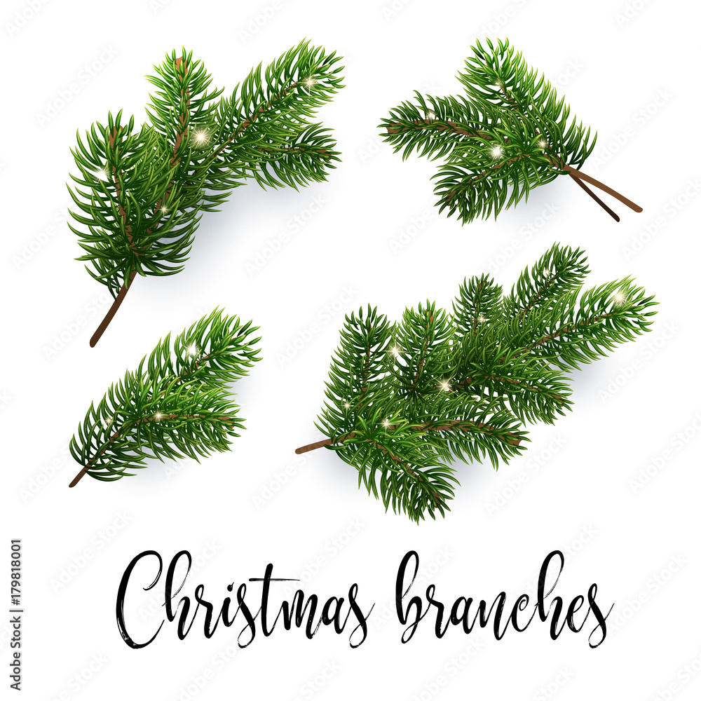 Fototapeta premium Set of fir branches. Christmas tree, pine. Realistic detailed vector illustrations. Symbol of Christmas and New Year isolated on white background for your design. EPS10