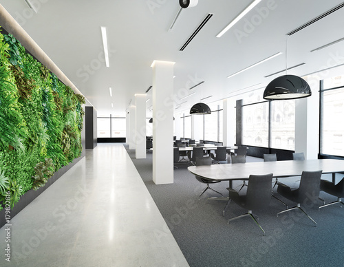 Vertical green wall in modern office building