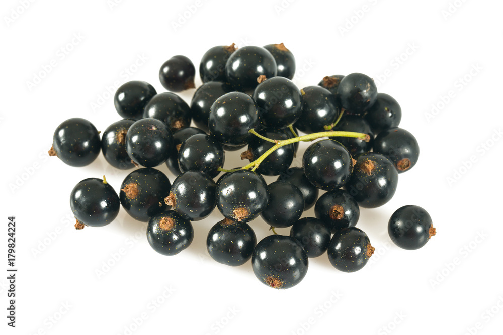 black currant isolated black currant isolated