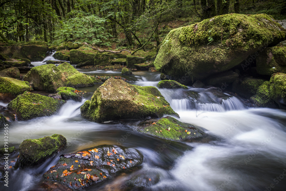 Fototapeta premium Golitha Falls Waterfall, Cornwall