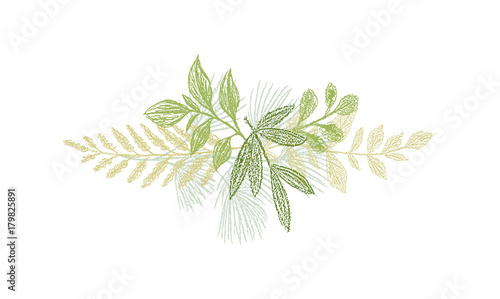 Greenery botanical hand drawn leaf decoration. green branches isolated on white background. Botanical spring doodles