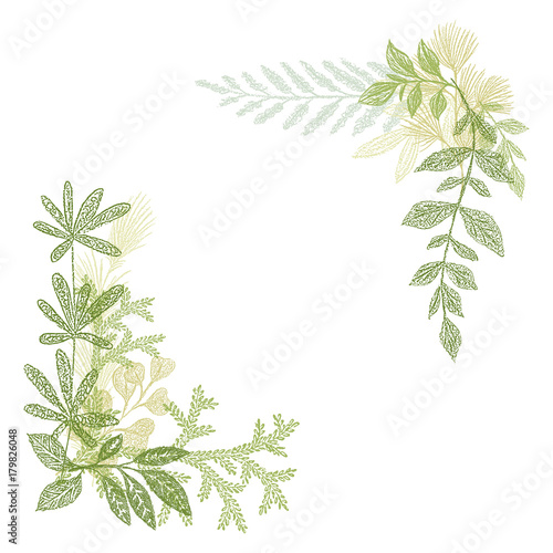 Floral hand drawing  green leaf composition. greenery branches isolated on white background. Floral border decoration elements for cards