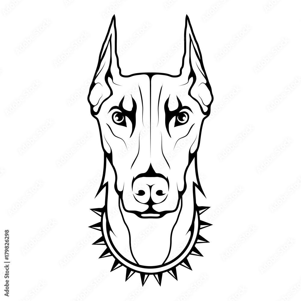 Doberman dog icon.Dog collection