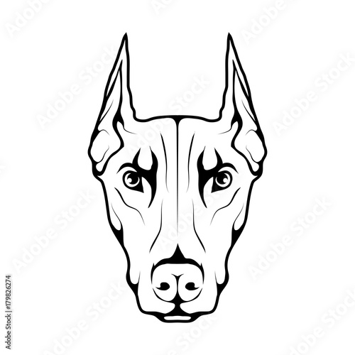 Doberman dog icon.Dog collection