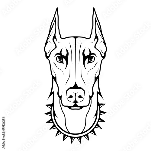 Doberman dog icon.Dog collection