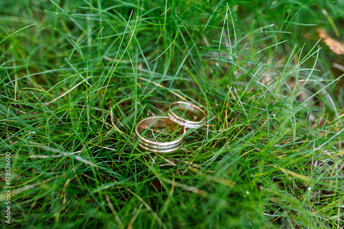 Wedding rings on the grass.