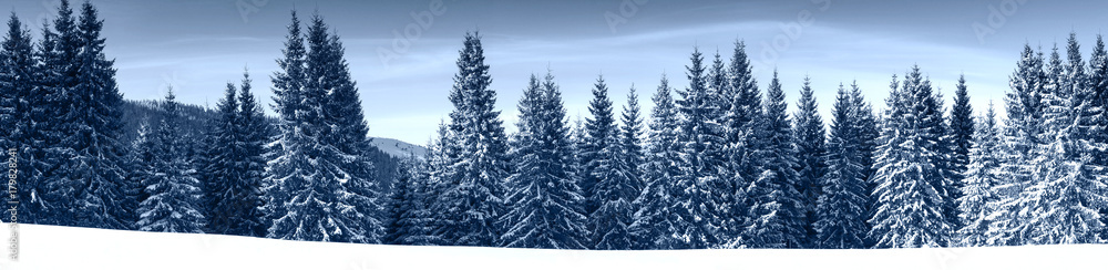 Winter Nature snowy landscape outdoor background. Winter Nature snowy landscape outdoor background.