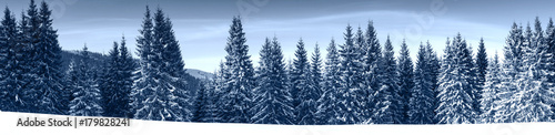 Winter Nature snowy landscape outdoor background. © nadianb