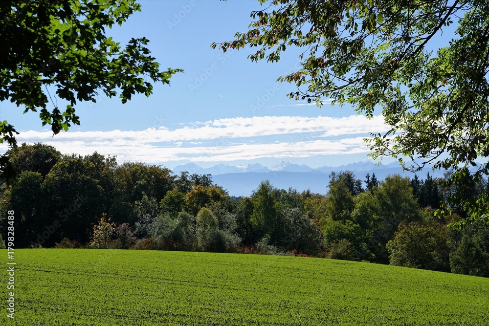 Feld in Küsnacht in der Nähe vom Ruhmensee und Zollikon 