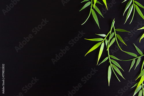 tropical leaf frame top view.