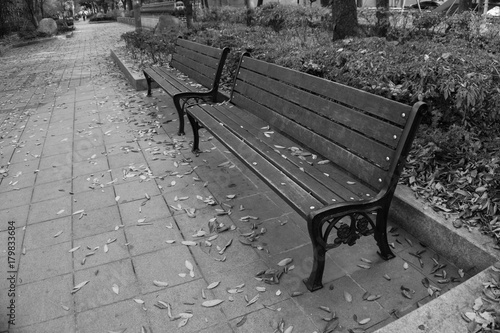 A Bench in the Autumn