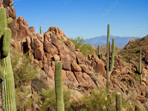 Arizona scenery with mountains, cactus and blue sky