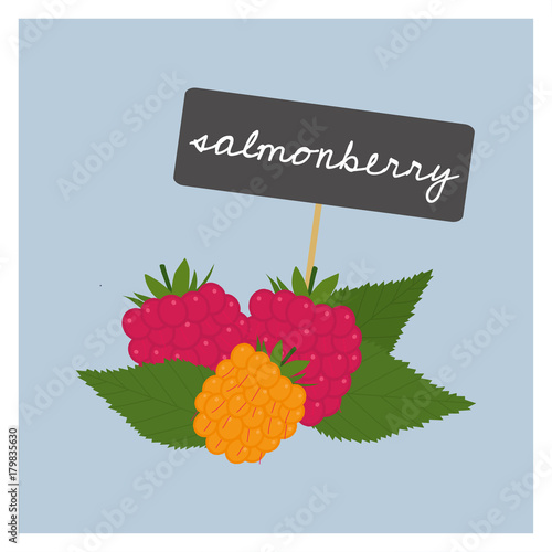 Vector Fruit - Salmonberry