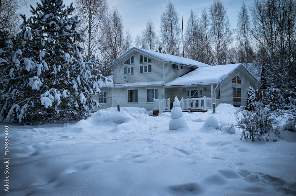 Beautiful suburban house surrounded                                 by trees heavily covered with snow in january
