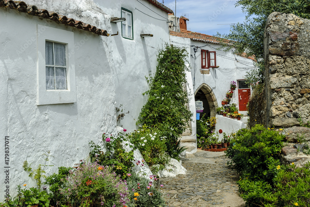 Fototapeta premium sight of the streets of the Portuguese city of Castelo de Vide.