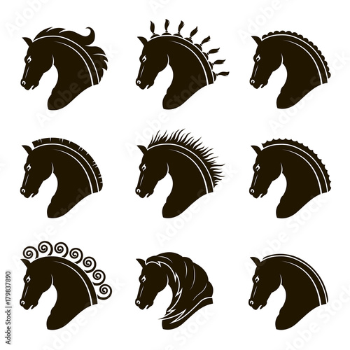 monochrome collection of horse heads with different manes