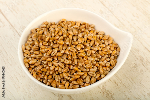 Wheat grains