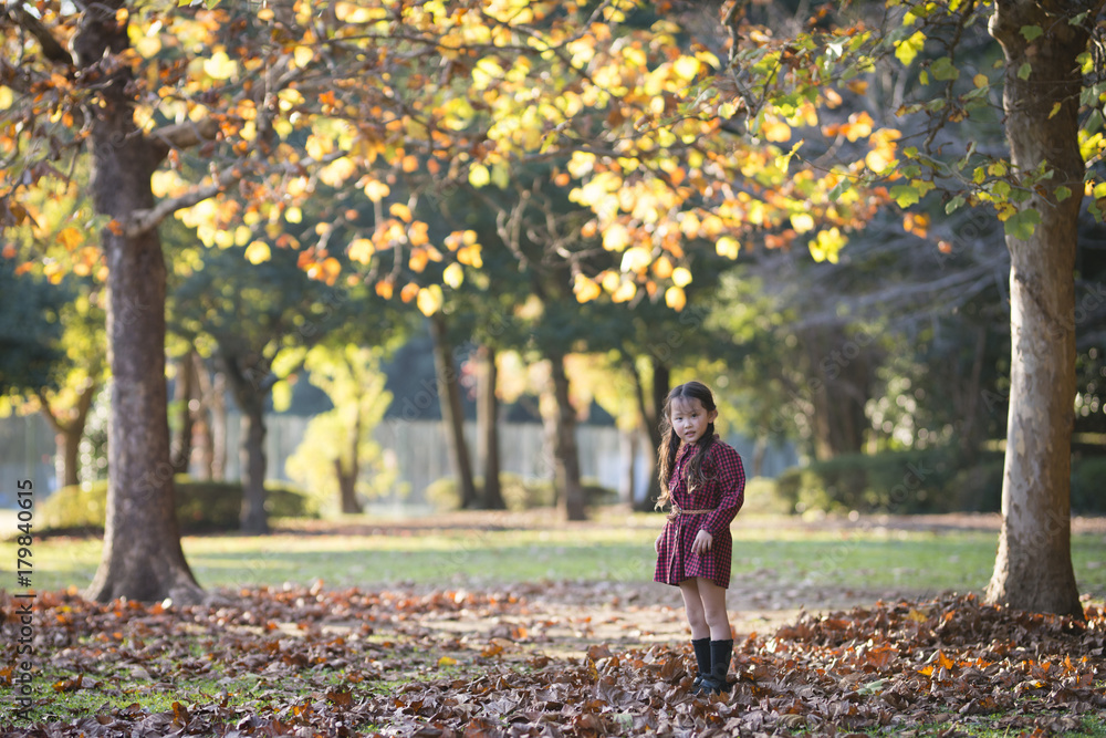 Little girl playing with fallen leaves Little girl playing with fallen leaves