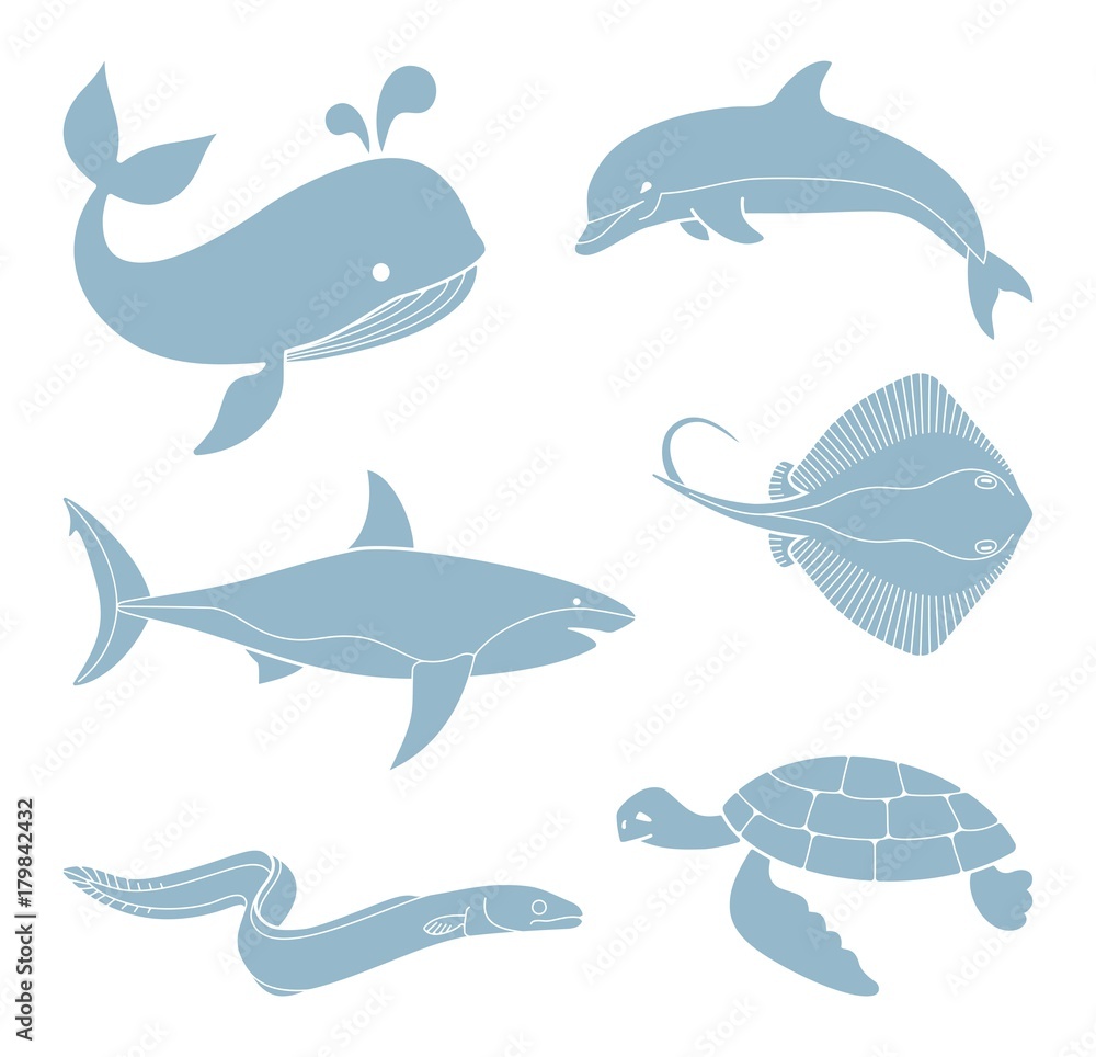 Obraz premium The silhouettes of sea creatures