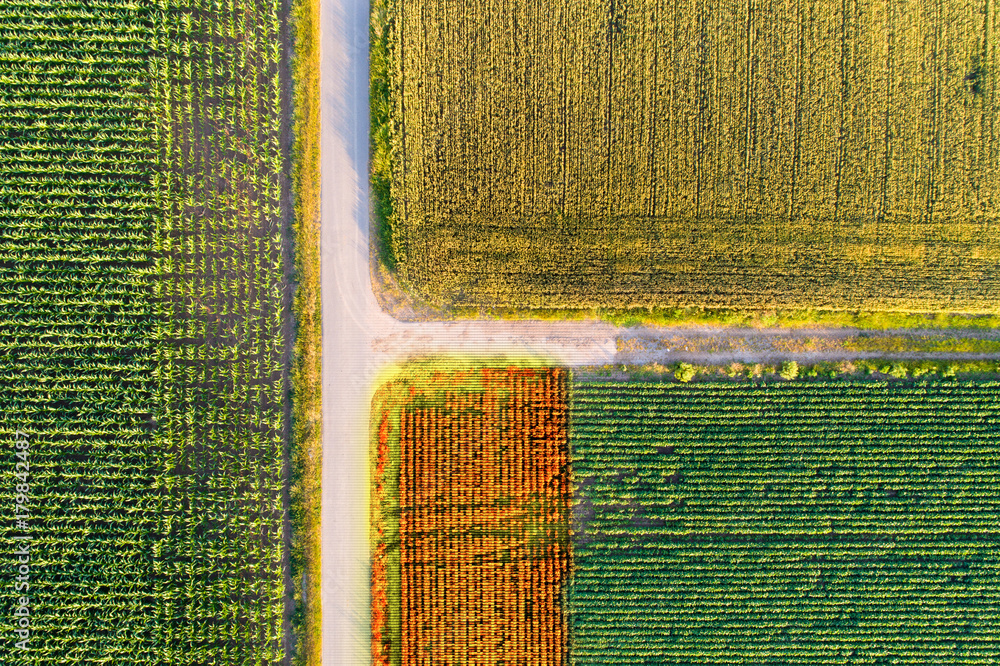 Obraz na plátně Agricultural fields shoot from drone
