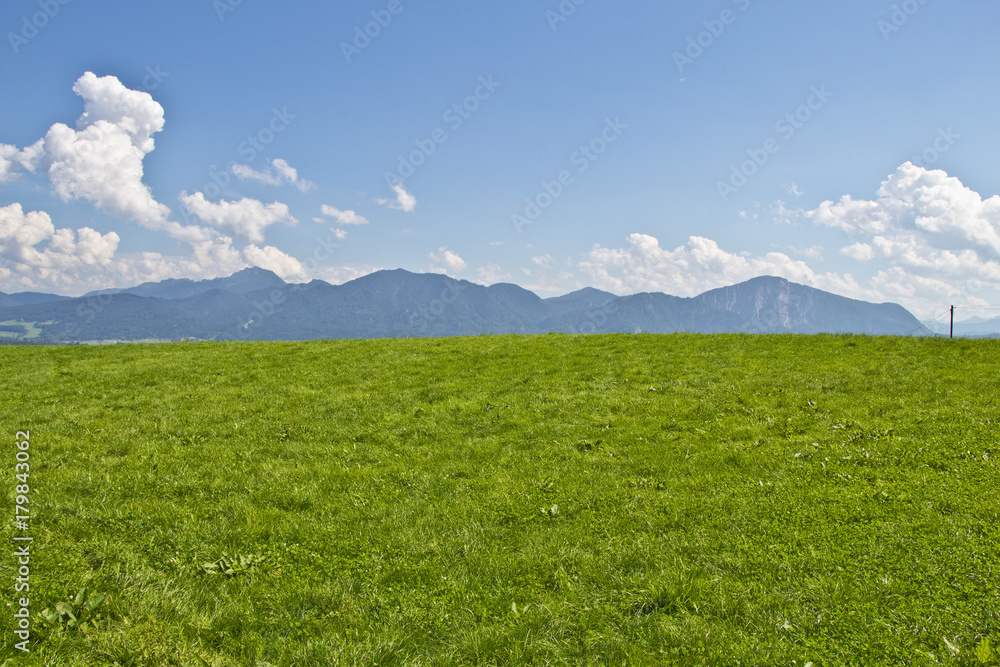 Wiese vor Alpenpanorama