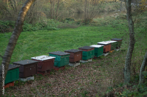 beehive in the countryside