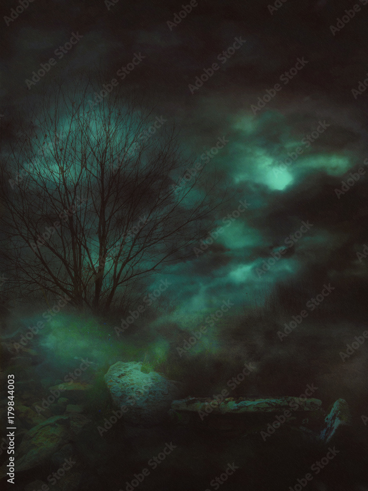 Fototapeta premium Dark Gloomy Landscape