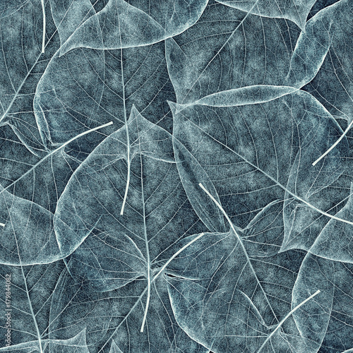 seamless background from light cyan leaves