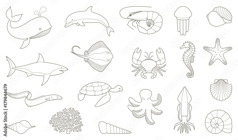 Fototapeta premium The outlines of fish and other sea creatures