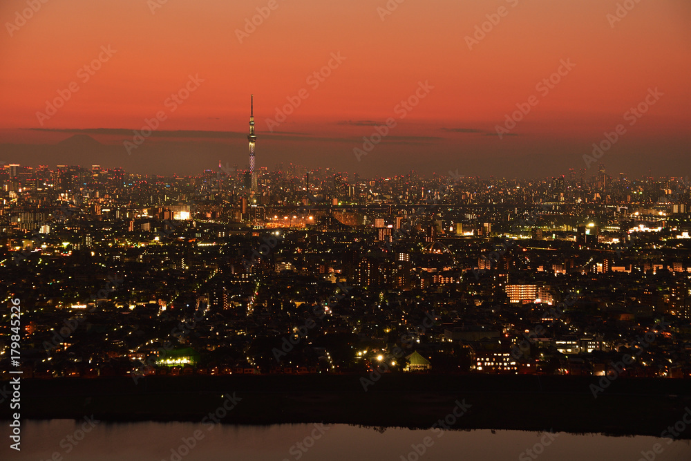 Naklejka premium 東京の夜景