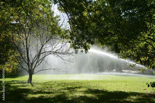 Water droplets from a sprinkler catch in a tree © sarahdoow