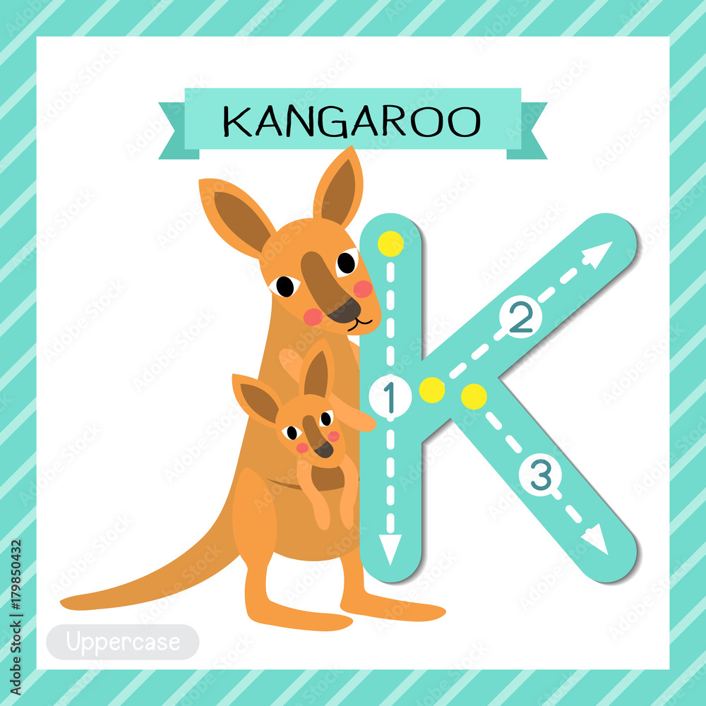 Letter K uppercase cute children colorful zoo and animals ABC alphabet  tracing flashcard of Kangaroo and baby for kids learning English vocabulary  and handwriting vector illustration. Stock Vector | Adobe Stock