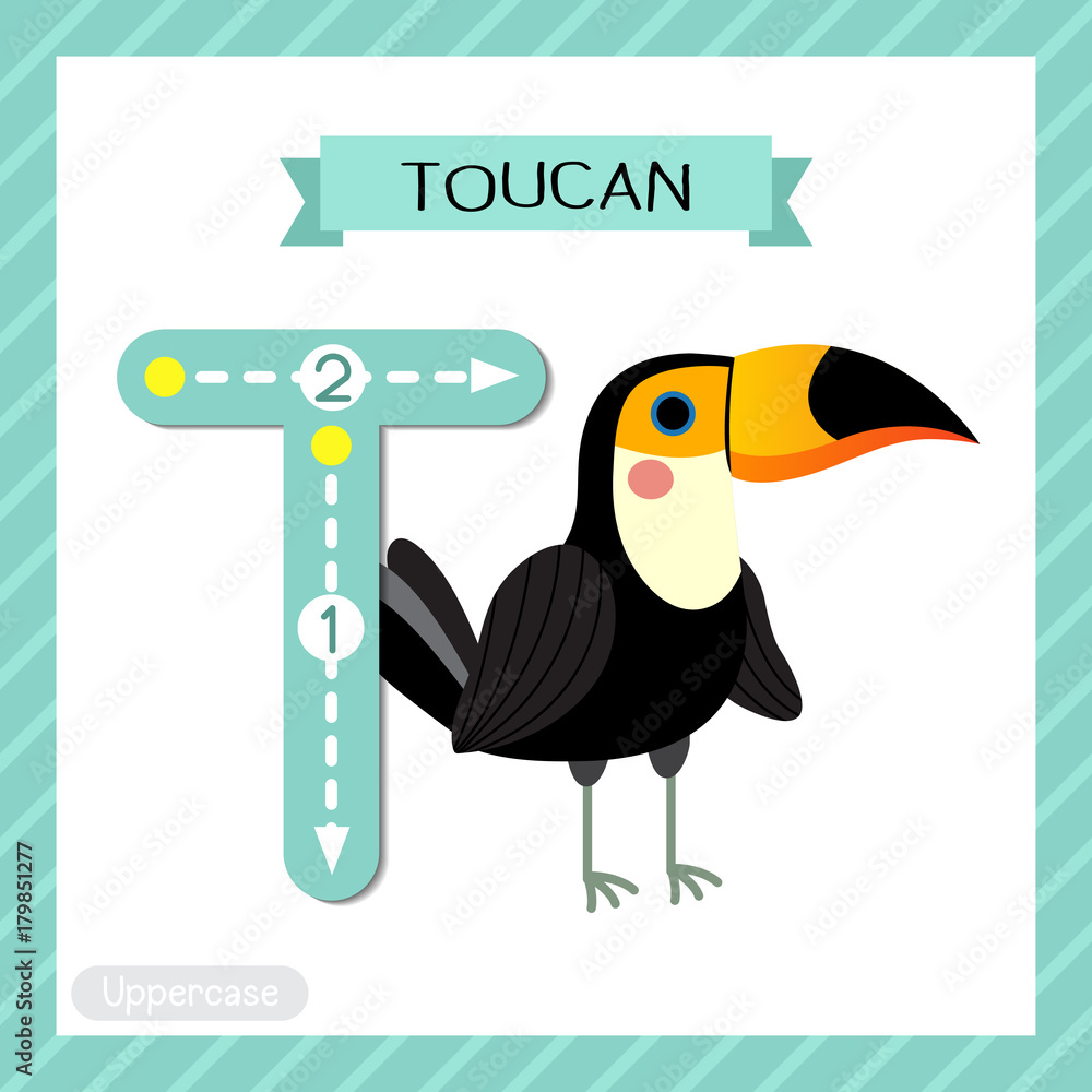 Letter T uppercase cute children colorful zoo and animals ABC alphabet  tracing flashcard of Standing Toucan bird for kids learning English  vocabulary and handwriting vector illustration. Stock Vector | Adobe Stock