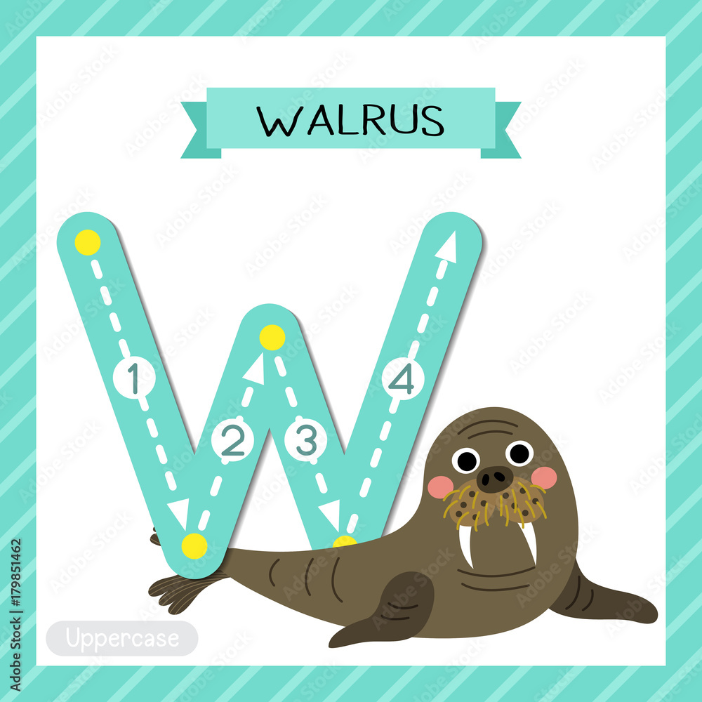 Letter W uppercase cute children colorful zoo and animals ABC alphabet