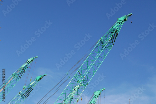 Cranes against blue winter sky